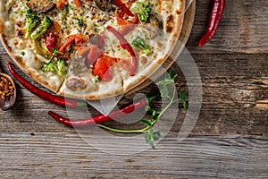 Delicious big vegan pizza, textspace photo