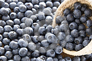 Delicious blueberries
