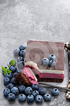 Delicious blueberry layered cake on gray background