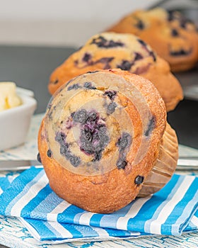 Delicious Blueberry Muffin