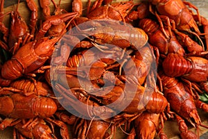 Delicious boiled crayfishes on table, closeup