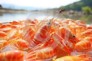 Delicious Boiled Orange Shrimp - Seafood Cuisine Ready for Consumption