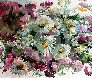 Watercolor art background colorful flower chamomile wild