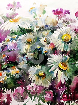 Watercolor art background colorful flower chamomile wild