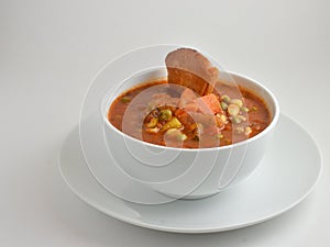 Delicious bowl of garden vegetable soup with crisp baked pita