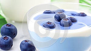 Delicious bowl of Yogurt topped with fresh Blueberries, on white. Greek yogurt with blueberry