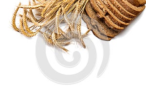 Delicious bread. Fresh loaf of rustic traditional bread with wheat grain ear or spike plant isolated on white background. Rye