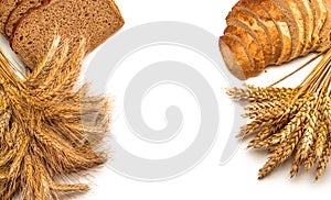 Delicious bread. Fresh loaf of rustic traditional bread with wheat grain ear or spike plant isolated on white background. Rye