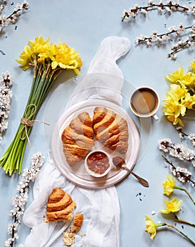 Delicious breakfast with fresh croissants, jam and coffee with spring flowers bouquet of daffodils on a light blue