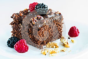 Delicious brownie with silvestre fruits. photo