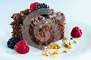 A delicious brownie with silvestre fruits photo