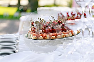 Delicious bruschetta with salmon and canape shrimp on table. Tasty buffet table. Summer party outdoor. Catering concept