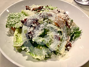 Delicious Caesar Salad Plate