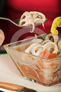 Delicious calamari ceviche, typical ecuadorian
