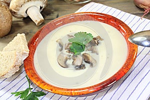 Delicious calf soup mt mushrooms and parsley