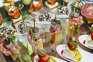 Delicious canapes at the buffet table. Catering for events and celebrations. Close-up