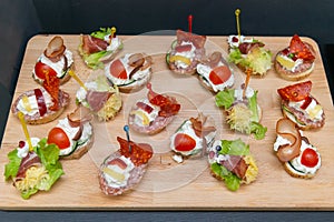 Delicious canapes for party on plate