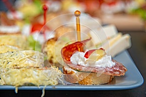 Delicious canapes for party on plate