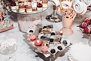 Delicious candy bar at luxury wedding reception. exclusive expe