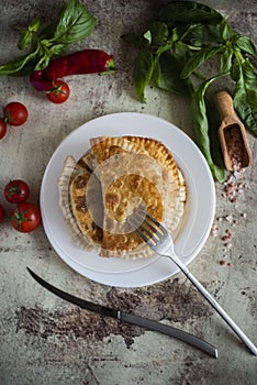 Delicious chebureks on a white plate, small tomatoes and hot peppers on a gray background. Fried meat pies on a large platter