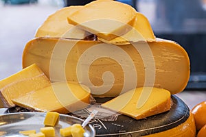 Delicious cheese on the market