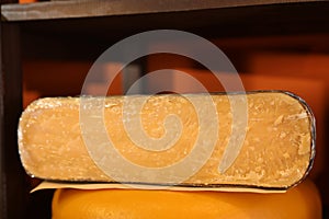 Delicious cheese in store, closeup