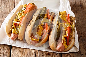 Delicious Chicago style hot dog with mustard, vegetables and rel