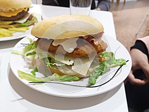 Delicious chicken burguer with chese and salad