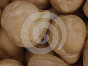 delicious chickpeas seeds food meal cooking natural food photo