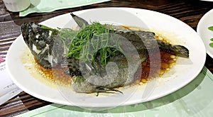 Delicious Chinese Food Macau Macao China Macanese Cuisine Hot Fresh Steamed Fish Dish lunch dinner meal Soy Sauce