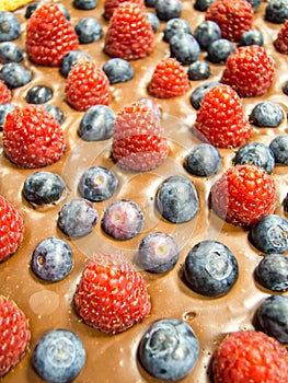 Delicious chocolate cake with berries above