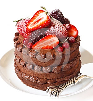 Delicious chocolate cake.