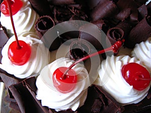 Delicious chocolate cake with maraschino cherries