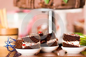 Delicious chocolate cake pieces with cream filling sitting on small plates, pastry concept