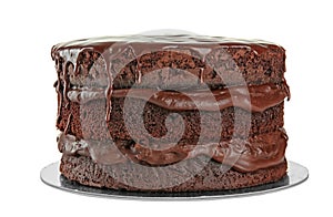 Delicious chocolate cake on white background