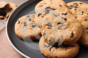 Delicious chocolate chip cookies on grey plate, closeup