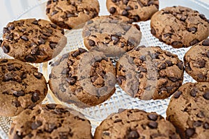 delicious chocolate cookies put on a plate