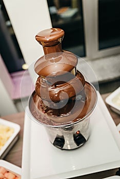 Delicious chocolate fountain fondue