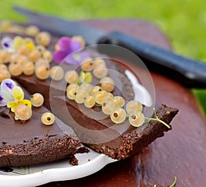 Delicious chocolate tart with berries on the white