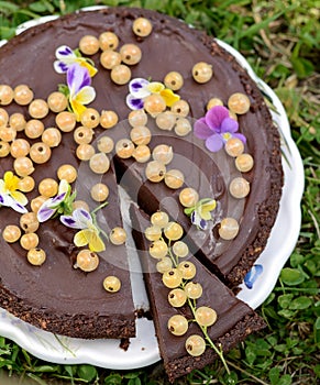 Delicious chocolate tart with berries on the white