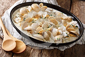 Delicious clams in a creamy sauce with parsley closeup on a plat