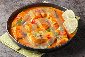 Delicious coconut tomato fish curry with Asian spices and chili pepper close-up on a plate. Horizontal