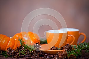 Delicious coffee in orange cups, small pumpkins and pine boughs