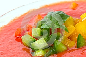 Delicious cold red gazpacho soup with basil leaves