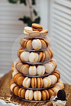 Delicious colored macaroons