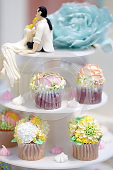 Delicious colorful wedding cupcakes with flower on the blurred background. Funny figurines bride and groom
