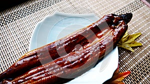 Delicious cooked eel fish