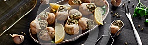 Delicious cooked escargots with lemon slices on black wooden table with spices and white wine, panoramic shot.
