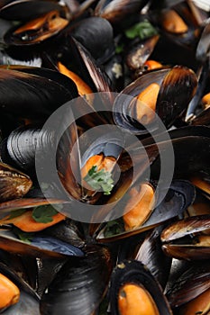 Delicious cooked mussels with parsley as background, closeup