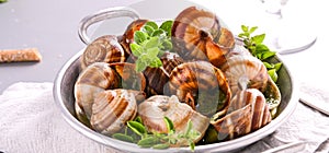 Delicious cooked sea escargo snails in a frying pan on a gray table